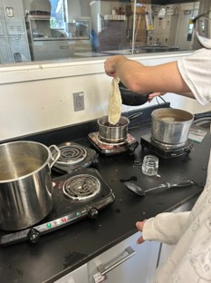 A student lowers a piece of mordanted roving into a pot of dye.