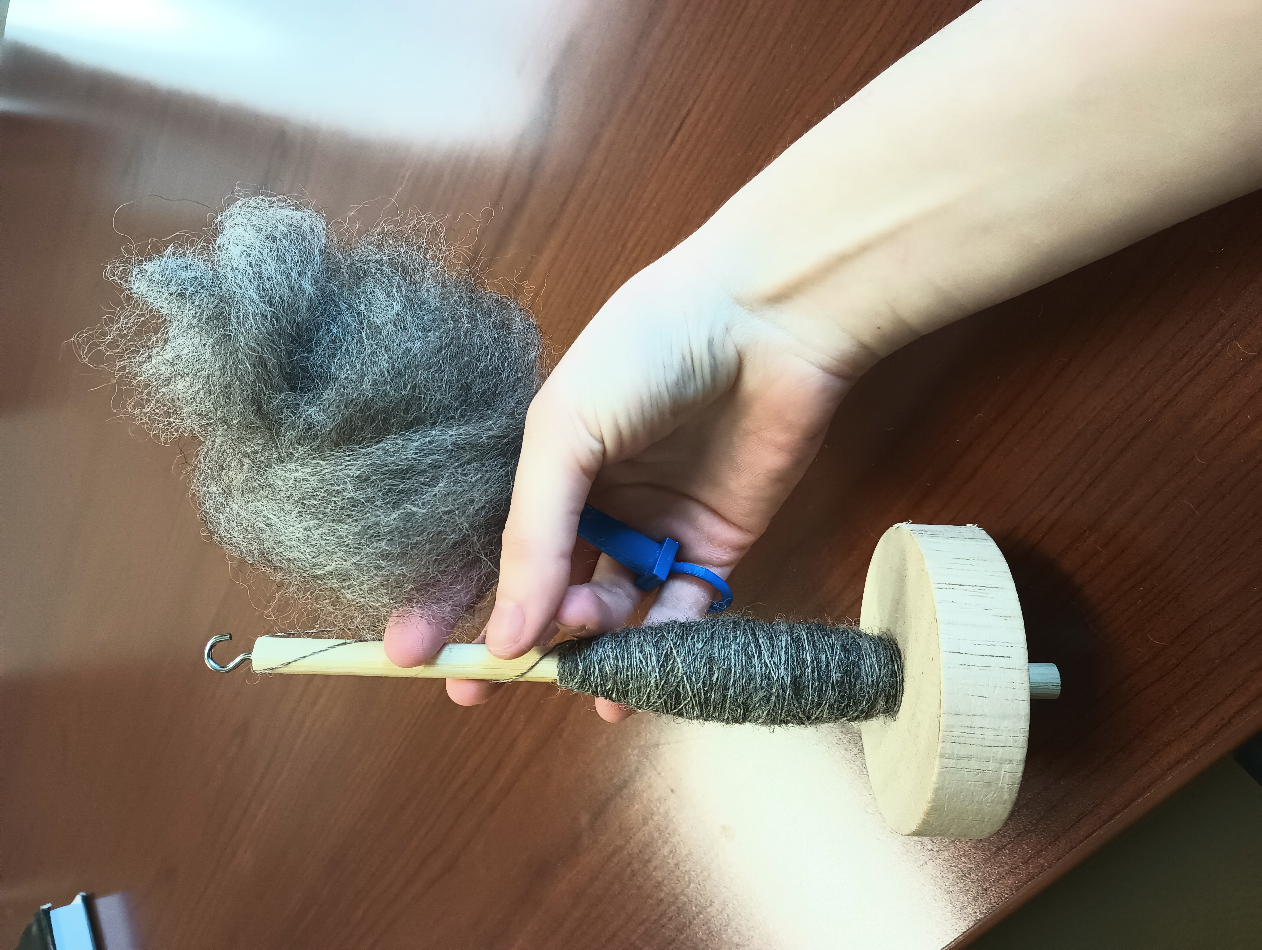 My hand wearing the ring distaff and holding a drop-spindle. The distaff is worn around the pinky and has a fluff of grey wool wrapped around the top.