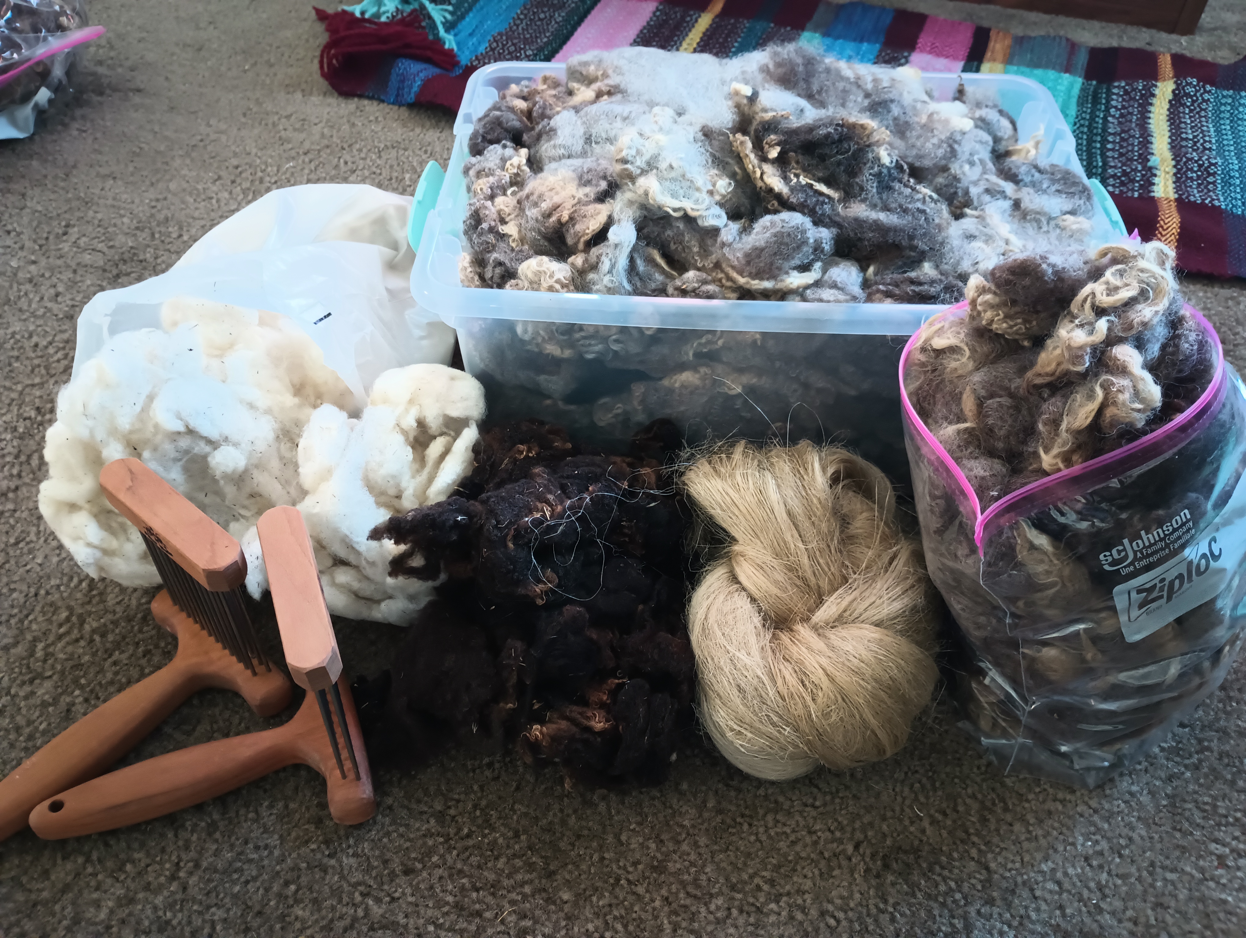 A large bin of grey, brown and white sheep's wool. Besides it is a bag of dirty white wool, a pile of dark brown wool, a bag of the same wool, a coil of flax fibers, and two wool combs.
