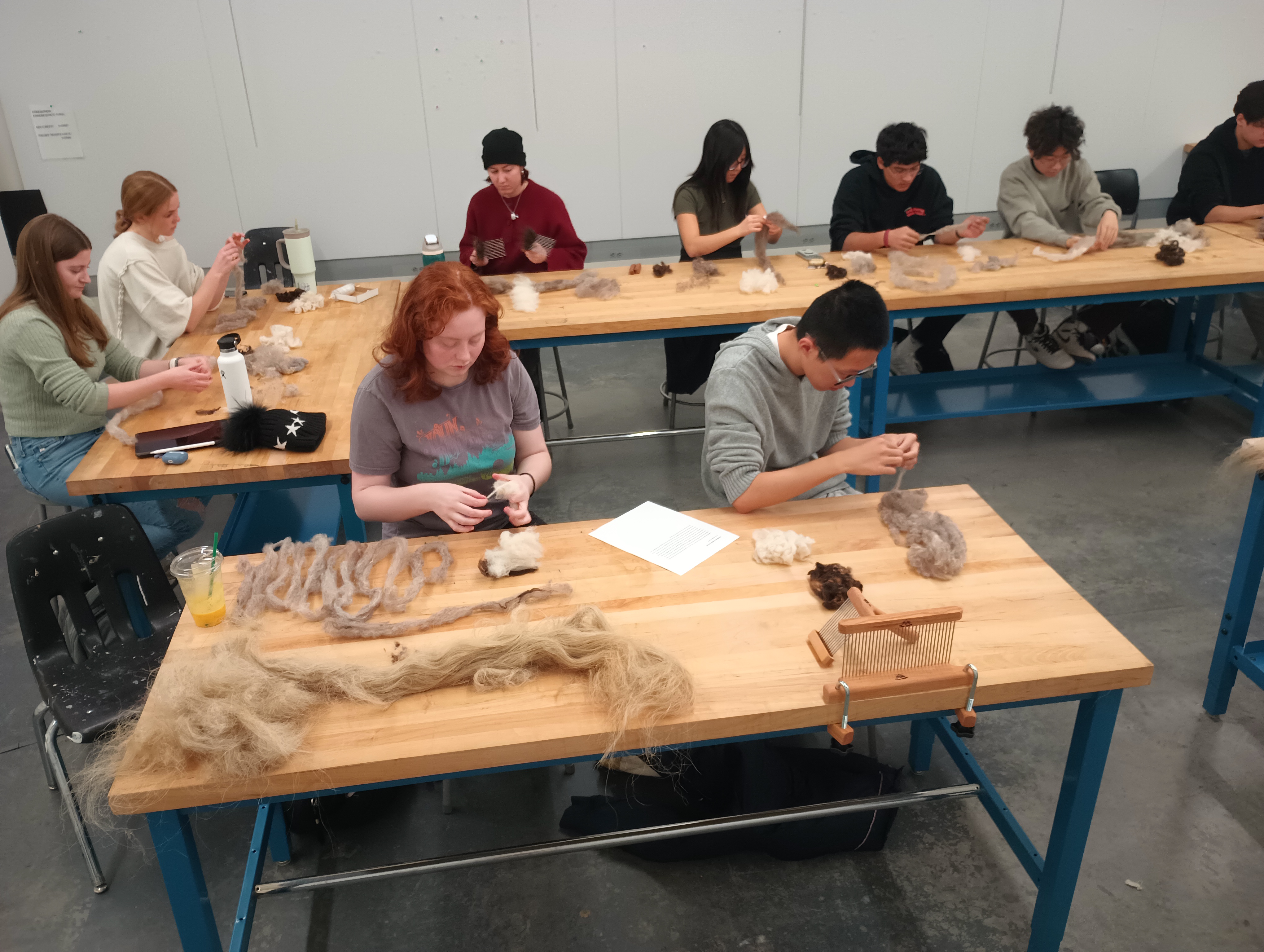 A studio classroom with students sitting at tables handling wool. On a center table there is a bin of wool, some piles of other wools, and some flax fibers. Students use their hands to pull apart locks of wool and align the fibers, rolling them into snakes of roving. A hackle is bolted on to one table.