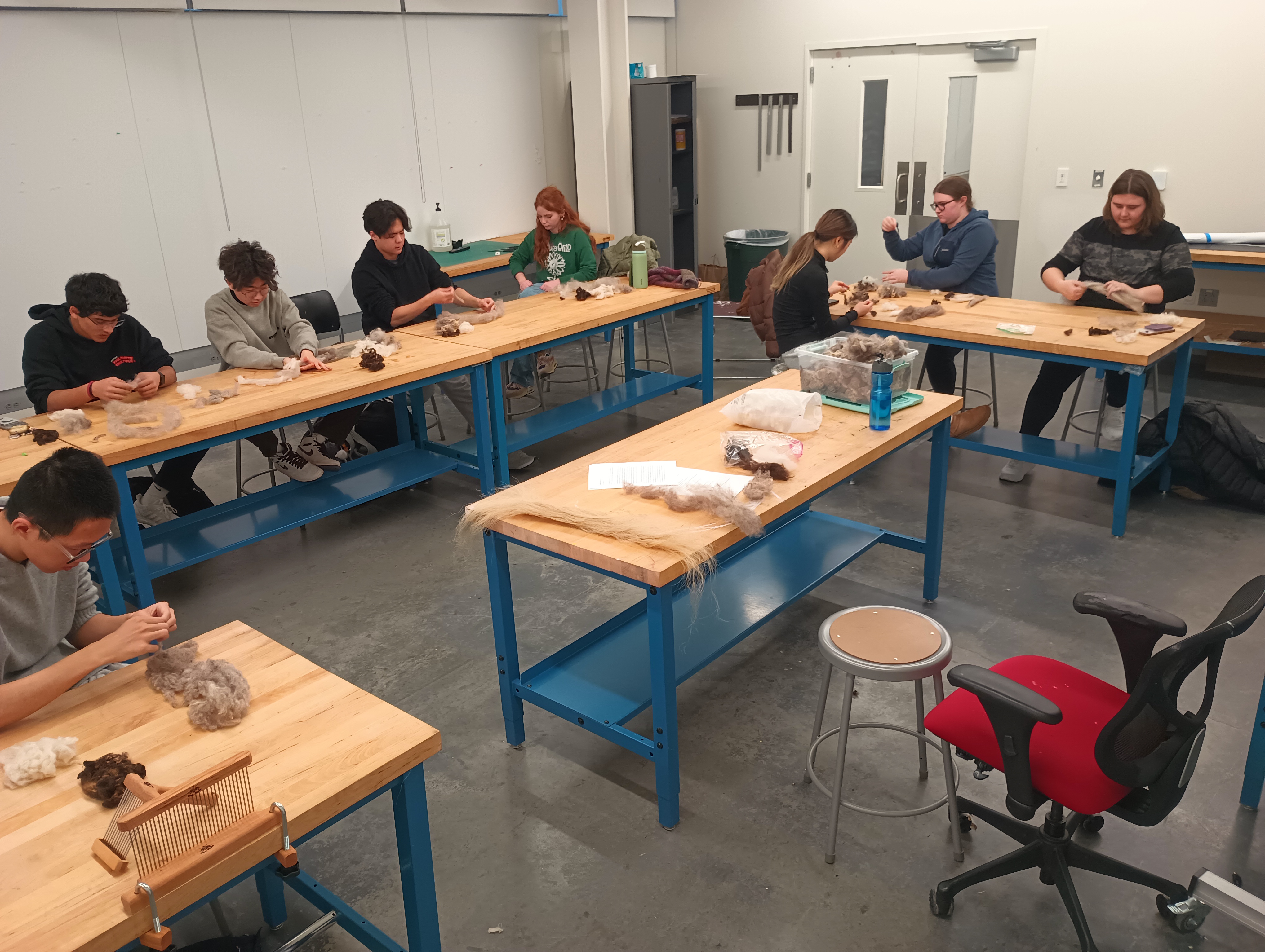 A studio classroom with students sitting at tables handling wool. On a center table there is a bin of wool, some piles of other wools, and some flax fibers. Students use their hands to pull apart locks of wool and align the fibers, rolling them into snakes of roving. A hackle is bolted on to one table.