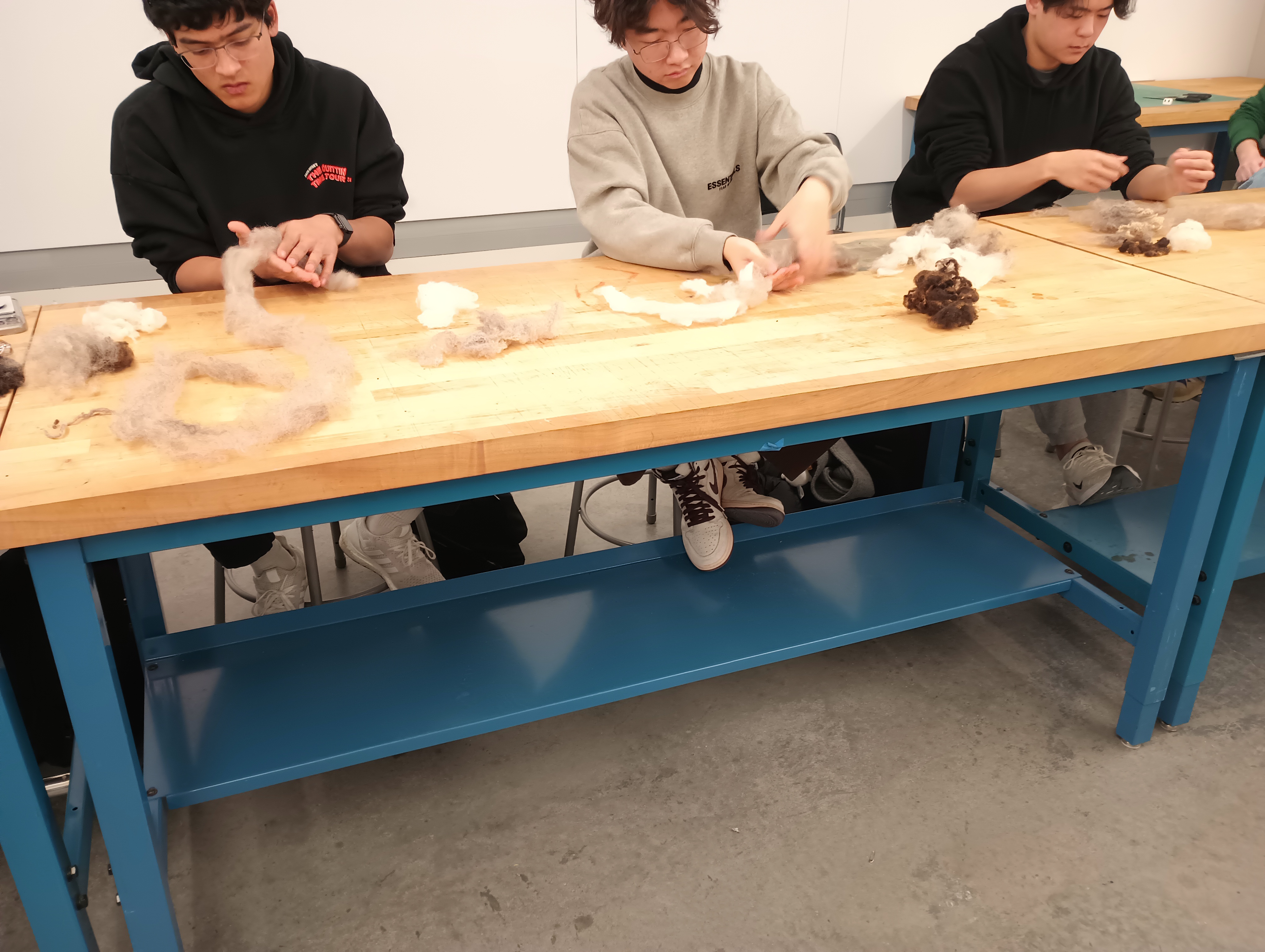 Students sit at a table and roll pale brown and white wool into snakes of roving.