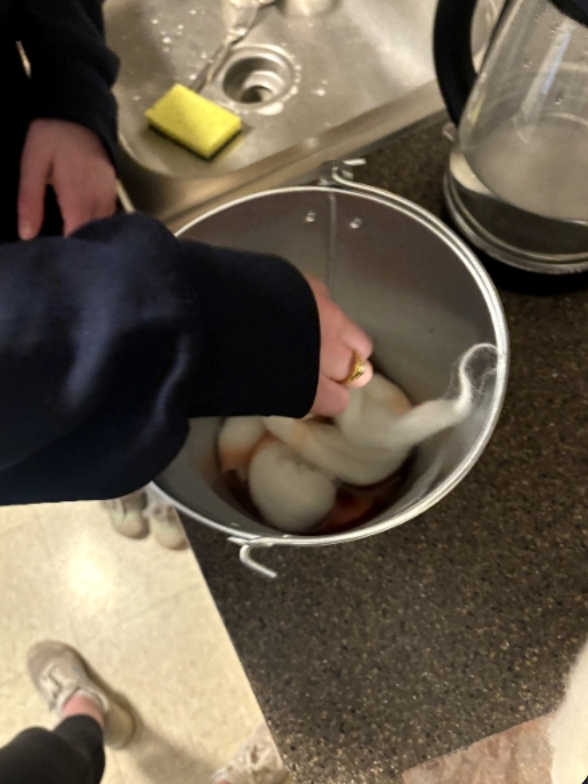 A student pushes wool roving into a metal pail with dye extract at the bottom.