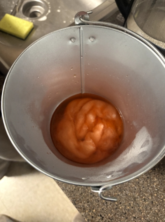 Wool roving sitting in a mixture of orange-colored dye extract and water.
