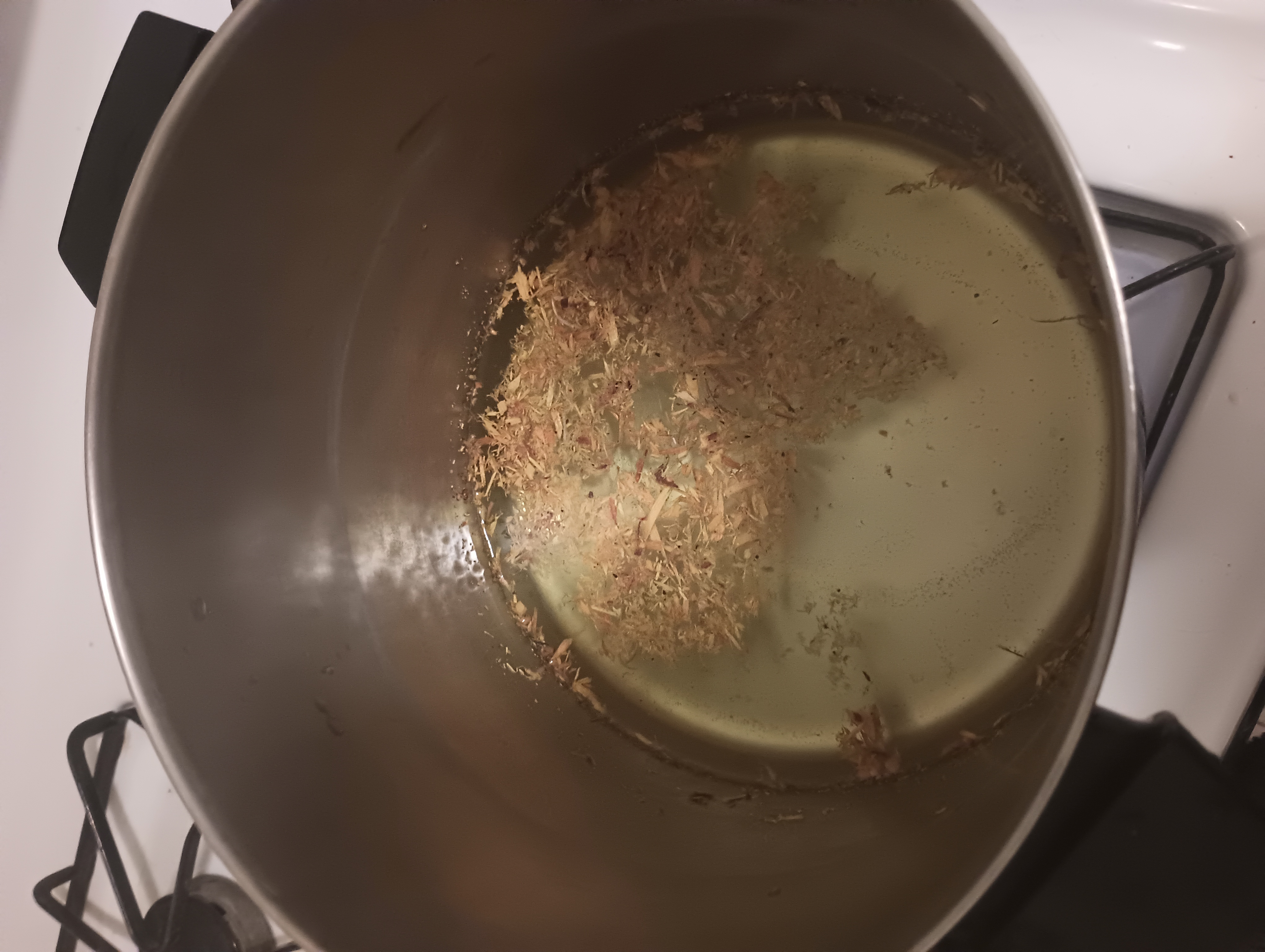 A pot with yellow osage wood chips floating in yellowing water