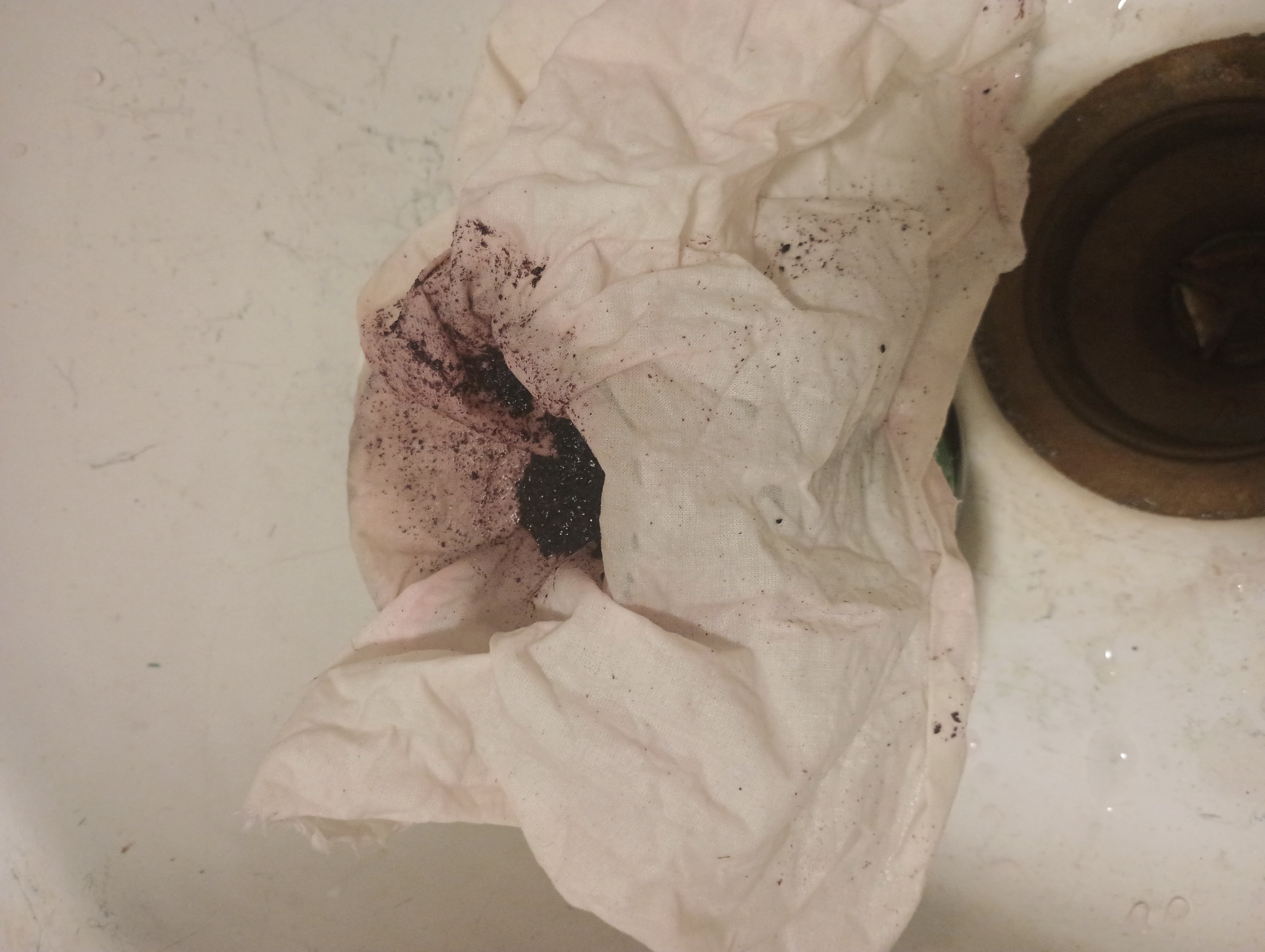 A cheesecloth strains dye extract out of crushed cochineal.