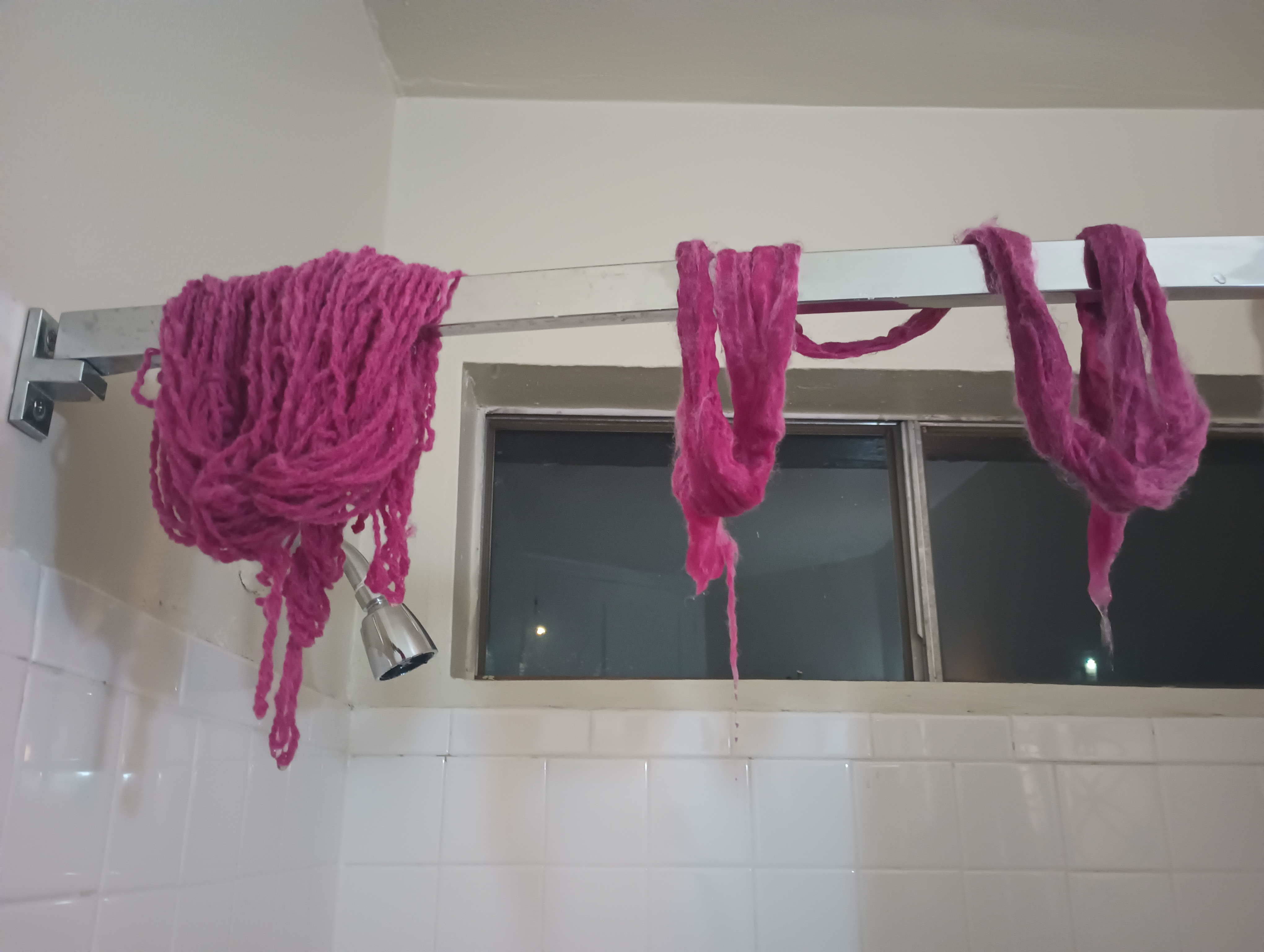 Magenta cochineal-dyed yarn and roving hanging up to dry.